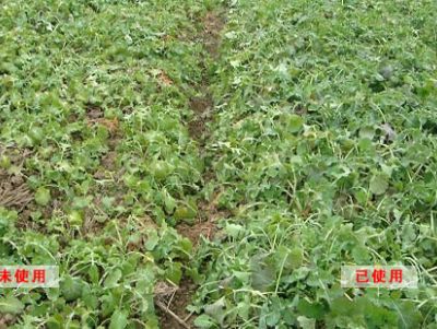 点击查看详细信息<br>标题：使用效果对比 阅读次数：1875